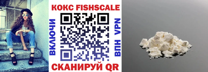 Cocaine FishScale  Купить закладки  Дзержинск 