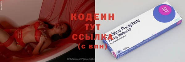 МДПВ Елизово