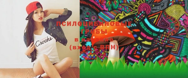 МДПВ Елизово